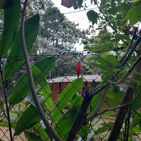 Sitio Das Bromelias Cachoeira Do Tombador Ubatuba Extérieur photo