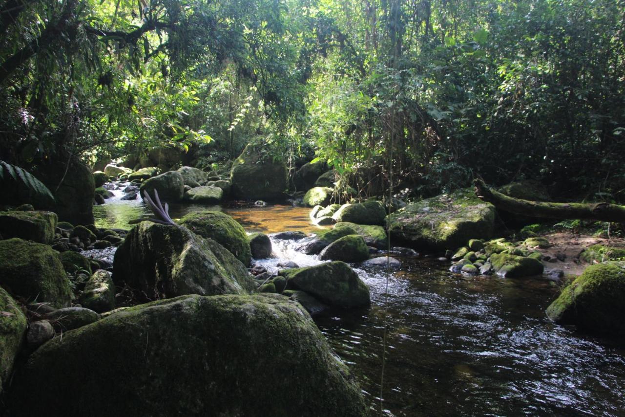 Sitio Das Bromelias Cachoeira Do Tombador Ubatuba Extérieur photo