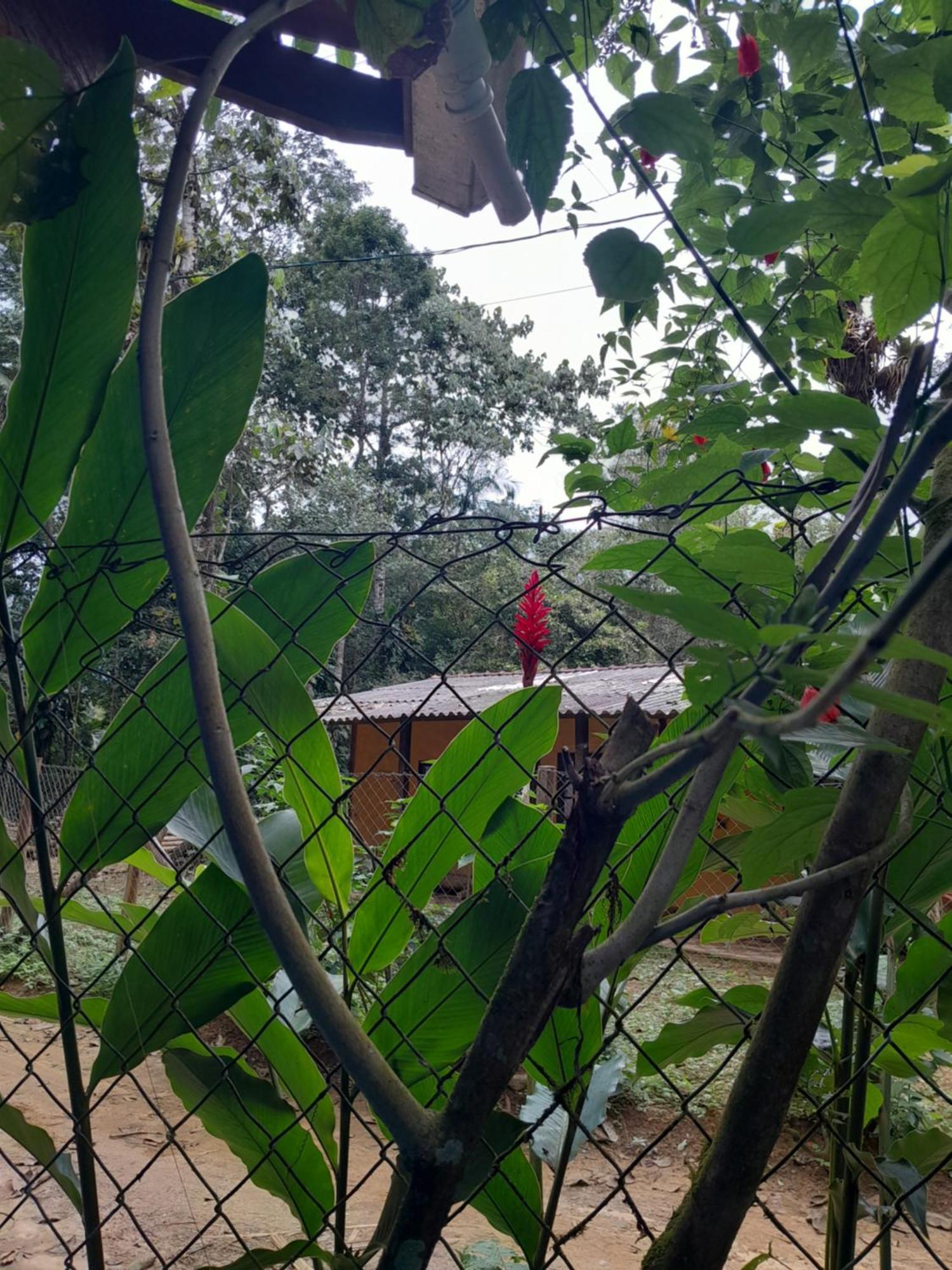 Sitio Das Bromelias Cachoeira Do Tombador Ubatuba Extérieur photo
